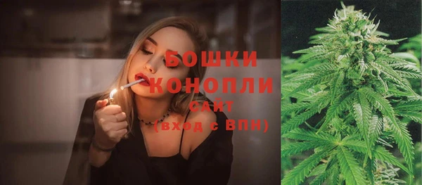 гашик Дмитров