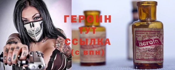 гашик Дмитров