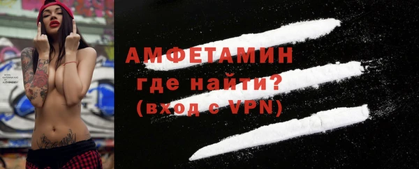 гашик Дмитров