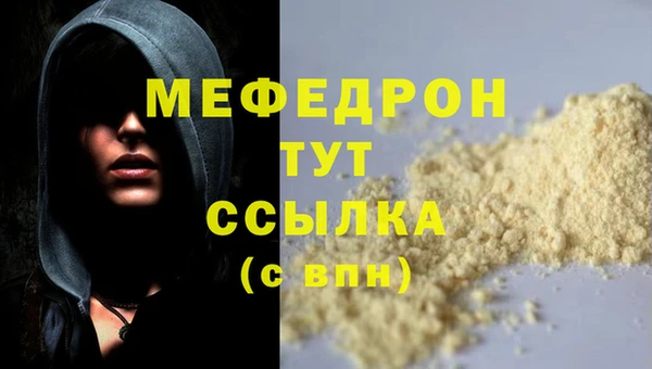 гашик Дмитров
