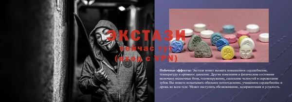гашик Дмитров