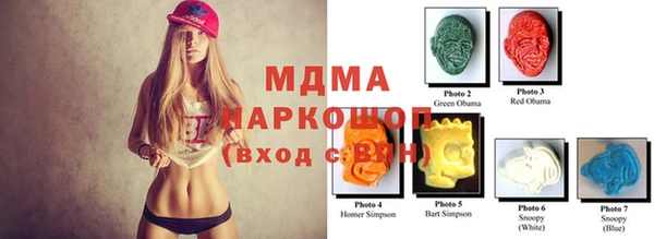 гашик Дмитров