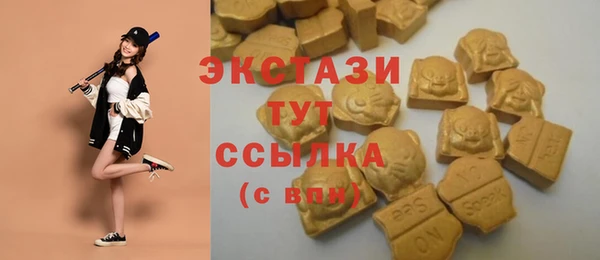 прущий лед Дмитриев