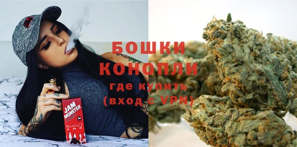 прущий лед Дмитриев