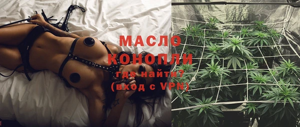 гашик Дмитров