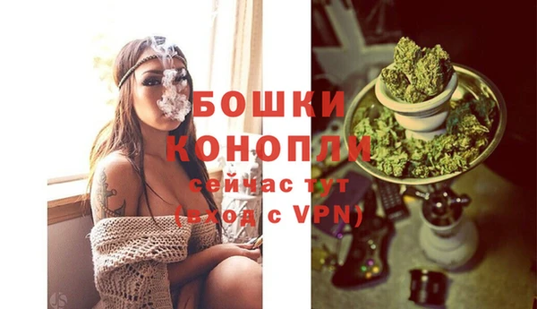 гашик Дмитров