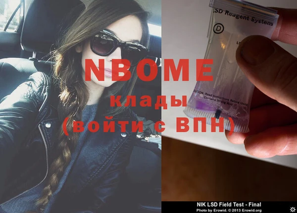 гашик Дмитров