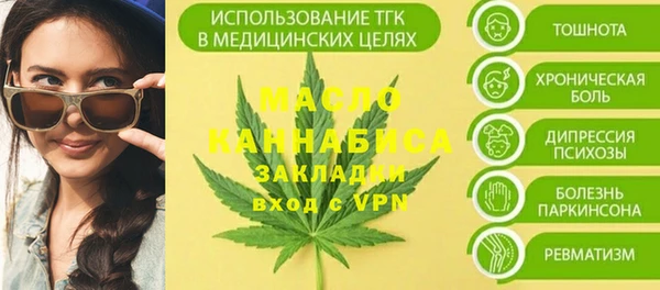 прущий лед Дмитриев