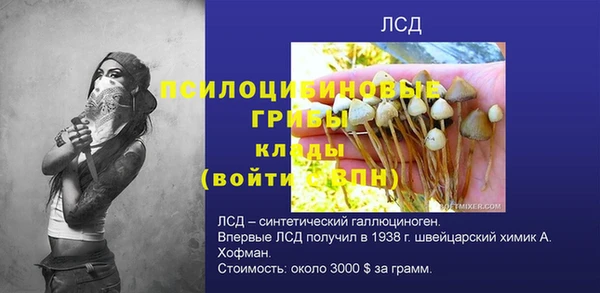 прущий лед Дмитриев