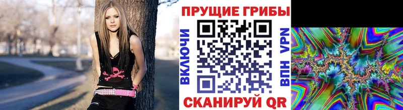 Купить закладки  Пыть-Ях  Псилоцибиновые грибы Cubensis 